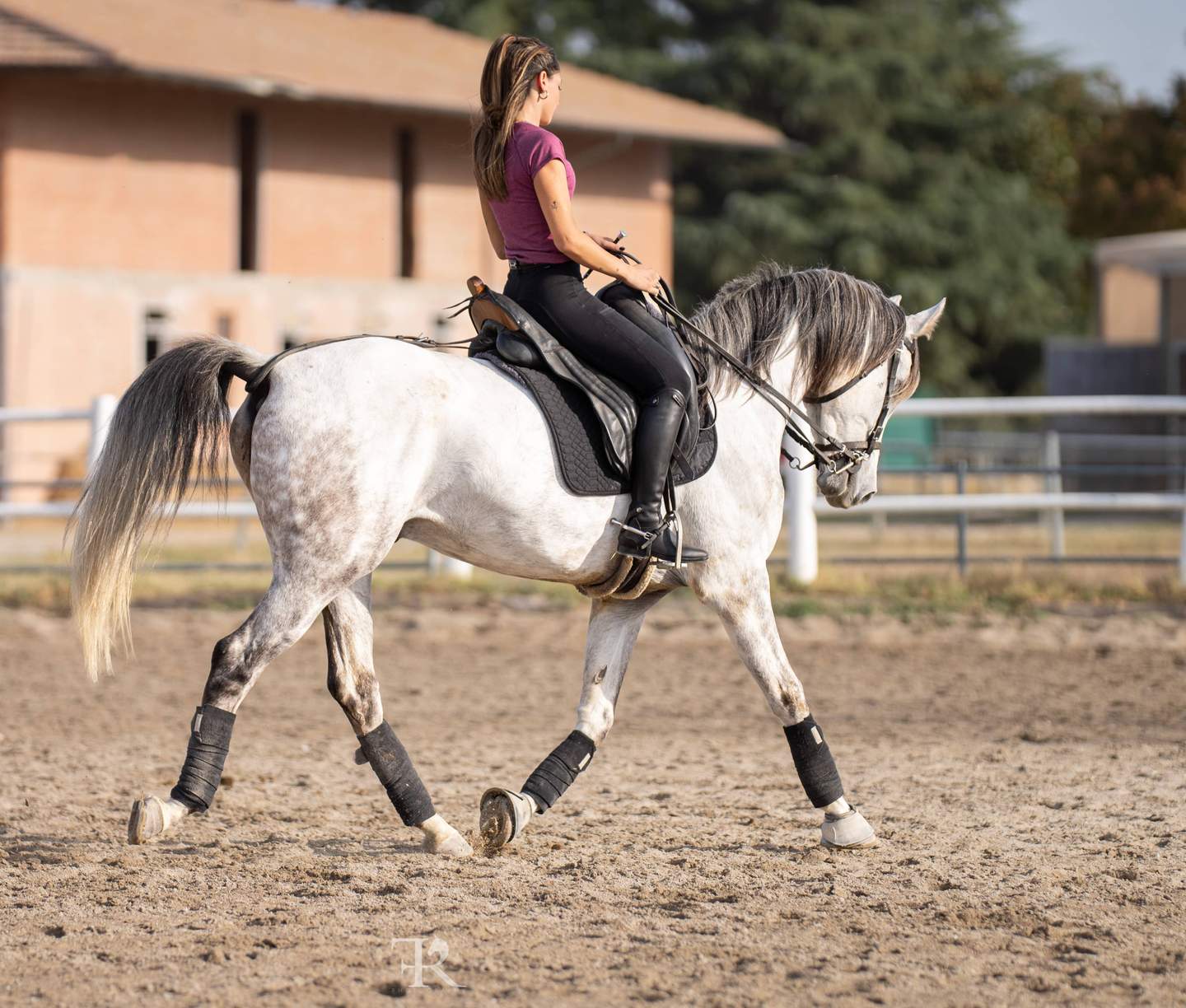 elena istruttrice a cavallo