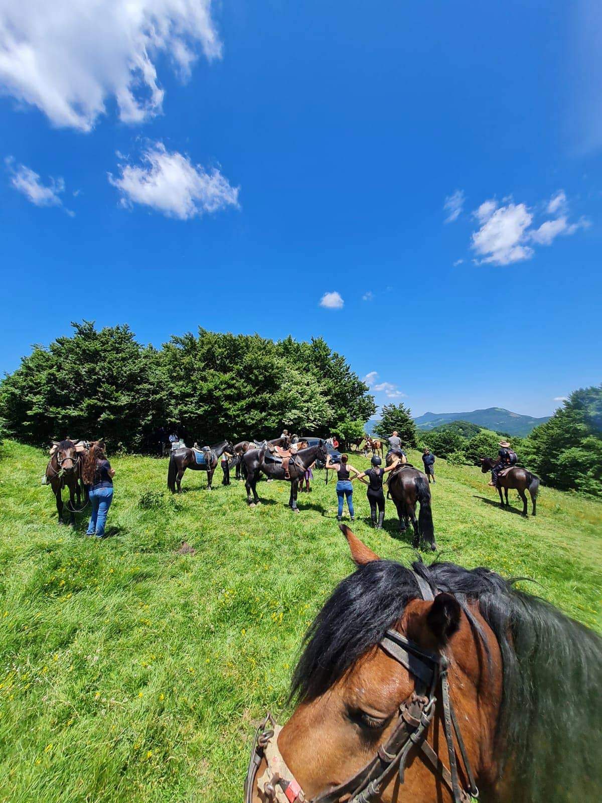trekking a cavallo
